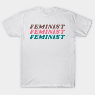 Feminist Feminist Feminist T-Shirt